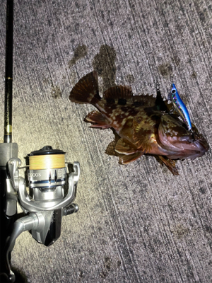 テスト明けの至福タイム