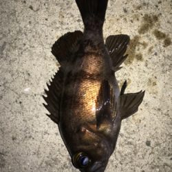 2021ライトゲーム第5戦