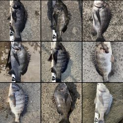 イチノ兄弟、釣果！