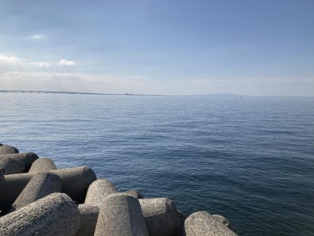 エビ撒き穴釣り