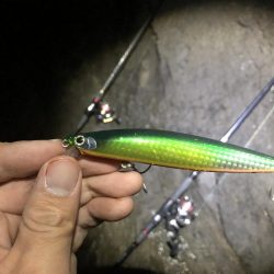 ゴロタでシーバス、メバリング