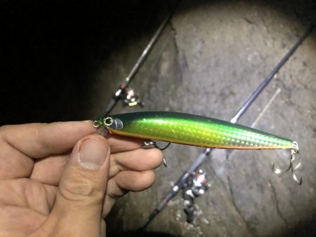 ゴロタでシーバス、メバリング