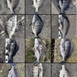 イチノ兄弟、釣果!