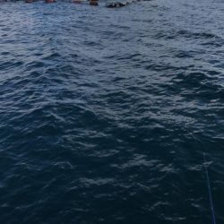 春よこい。まだ寒い