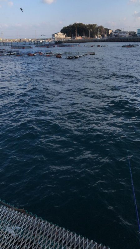 春よこい。まだ寒い