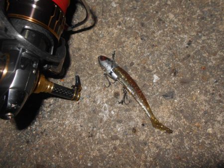 VJ-22ヘッド＋CA-02 アルカリシャッドの組み合わせでヒット。