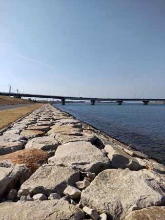 フラットフィッシュゲームNo.8