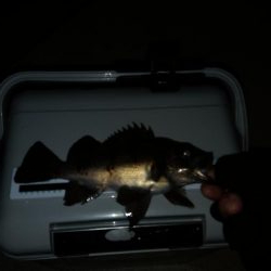 暖かく風も無いので