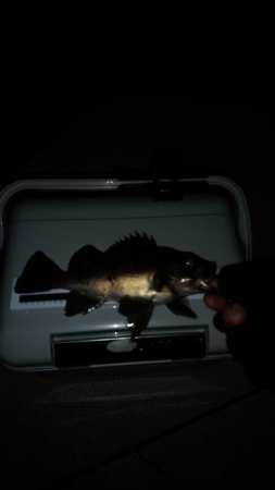 暖かく風も無いので