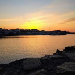 冬の根魚調査１３