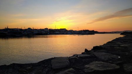 冬の根魚調査１３