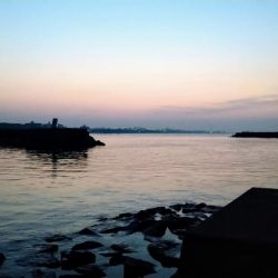 冬の根魚調査14