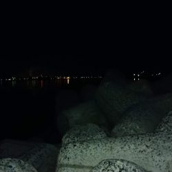 冬の根魚調査17