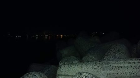 冬の根魚調査17