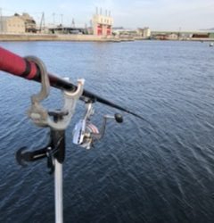 夕方がいいみたい