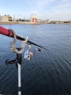 夕方がいいみたい