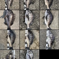 イチノ兄弟、釣果！