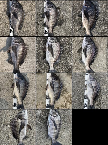 イチノ兄弟、釣果！