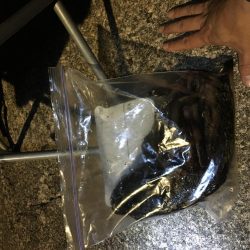 根魚の最大記録更新！