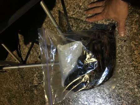 根魚の最大記録更新！