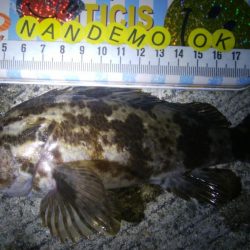 釣りデビュー 66日目