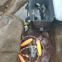 フカセ‥最高ですネ・・