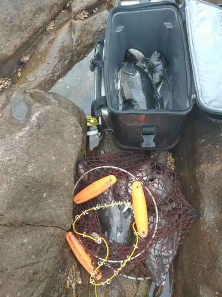 フカセ‥最高ですネ・・