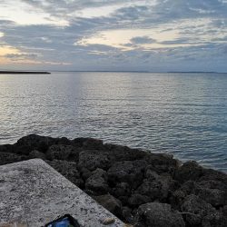 ロッド鱗付けの為にお出掛け