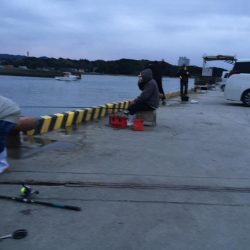 尺アジ1匹、メバル、ベラ、コアジ