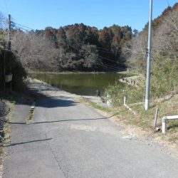 平日なのにスゴイ混雑！