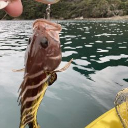 五島カヤックフィッシング
