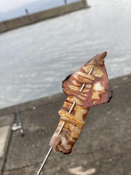 エギング！爆風でしたが、楽しかった