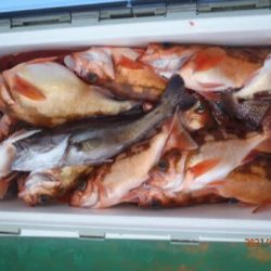 第二むつ漁丸 釣果