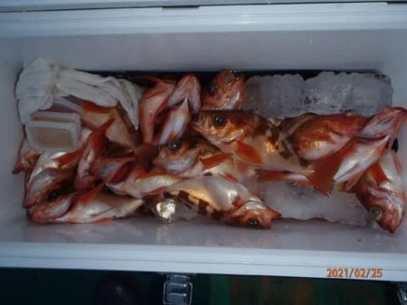 第二むつ漁丸 釣果