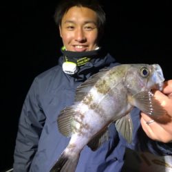 Magic(マジック) 釣果