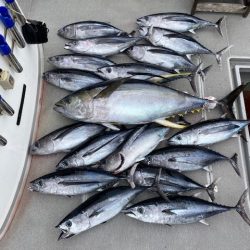 へいみつ丸 釣果