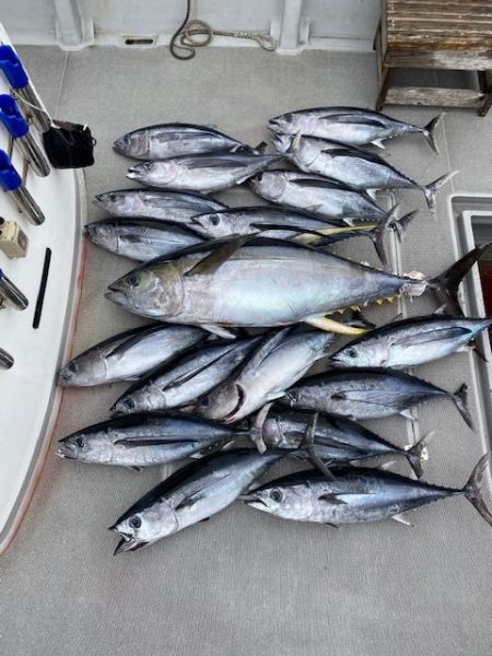 へいみつ丸 釣果