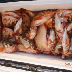 第二むつ漁丸 釣果