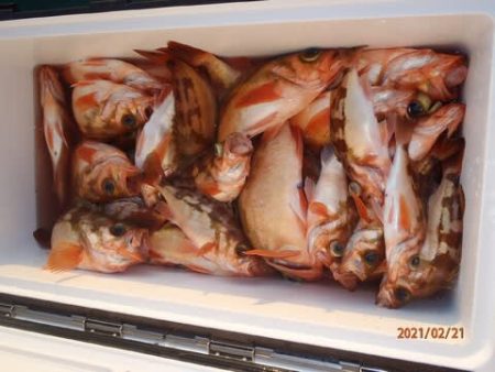 第二むつ漁丸 釣果