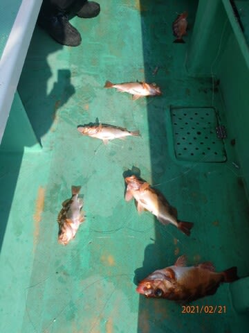 第二むつ漁丸 釣果