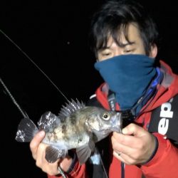 Magic（マジック） 釣果