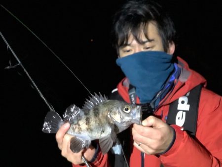 Magic（マジック） 釣果