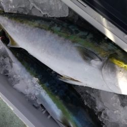 こうゆう丸 釣果