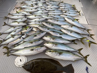 ミタチ丸 釣果