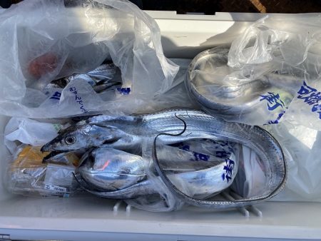 sea boss　シーボス 釣果