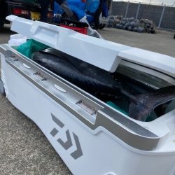 へいみつ丸 釣果