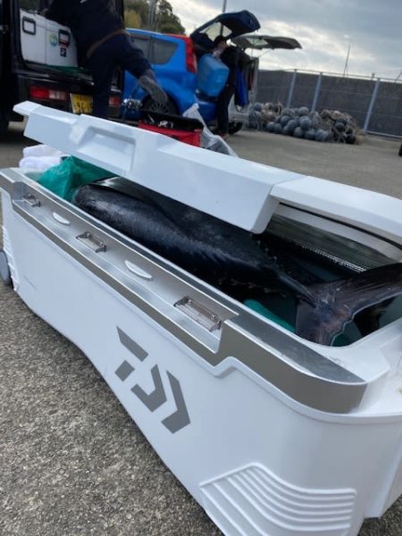 へいみつ丸 釣果