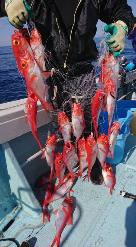 結愛丸 釣果