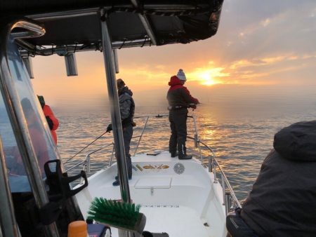 Magic（マジック） 釣果