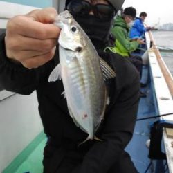あい川丸 釣果